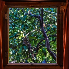Lemon Garden Lodge - Bild 6
