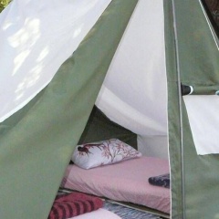 Asiyan Kamp - Bild 6
