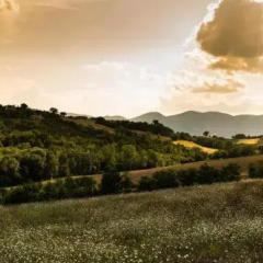 Agriturismo AgrileisureTime thumbnail 7