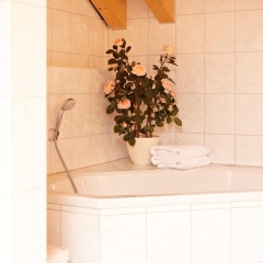 Hotel Schatten - Bild 7