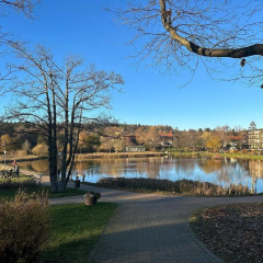 Bocksbergblick Appartement 507 im Ferienpark Hahnenklee Haus 1 - Bild 10