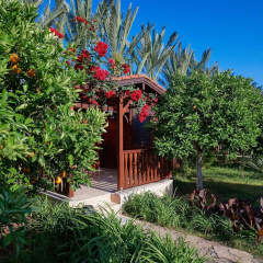 Azur Hotel - Bild 21