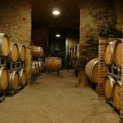 Tenuta Tenaglia thumbnail 13