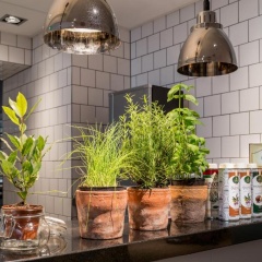 Die Port van Cleve Hotel - Bild 18