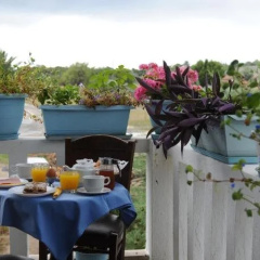 Thalassa Hotel thumbnail 12