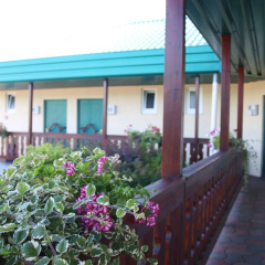 Hotel An der Hasenheide - Bild 12