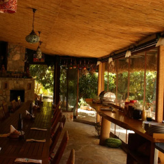 Lazy Lizard Boutique-Hotel - Bild 18