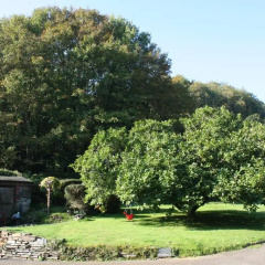 The Old Mill (E-bound) thumbnail 6