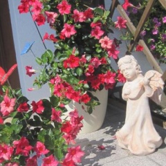 Das Naturidyll - Der Wieserhof - Bild 3
