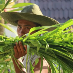The Rice Joglo thumbnail 19