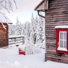 Ferienhauser, Torfhaus Harz - Bild 1