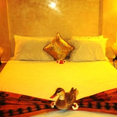 Villa Nusa - Bild 1