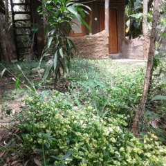 Villa Lagoon View thumbnail 4