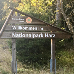 The Lodge Bad Harzburg - Bild 5