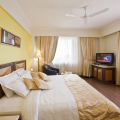 The Piccadily Lucknow thumbnail 7