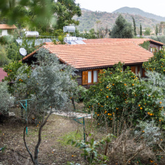 Holiday House dilek çıralı Living quarters - Bild 19