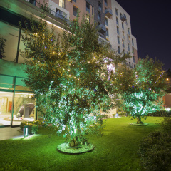 Dosso Dossi Hotels Golden Horn - Bild 22