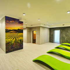 Гостиница Spa Hotel VINTAGE в Анапе отзывы, цены и фото номеров - забронировать гостиницу Spa Hotel VINTAGE онлайн Анапа фото 13