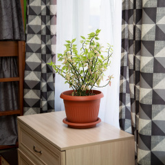 Номера 13