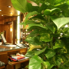 Hotel Centrale - Bild 27