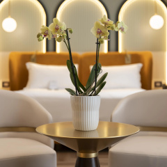 Hotel Je Rome - Bild 25