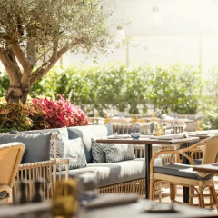 Four Seasons Hotel Dubai International Financial Centre thumbnail 17