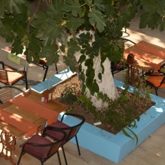 Kaliptus Hotel - Bild 21