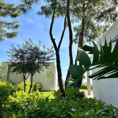 Z-Villas Beach Hotel - Bild 20