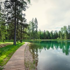 Гостиница Cosmos Collection Izumrudny Les Hotel в Нарынке отзывы, цены и фото номеров - забронировать гостиницу Cosmos Collection Izumrudny Les Hotel онлайн Нарынка фото 8