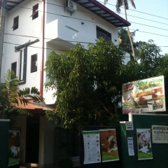 Suwa Arana Resort & Spa Mirissa Hotel thumbnail 1