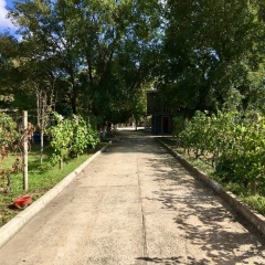 Гостиница Family House Midas в Керчи отзывы, цены и фото номеров - забронировать гостиницу Family House Midas онлайн Керчь фото 22