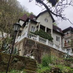 Agava Guest house in Gagra, Abkhazia from 46$, photos, reviews - zenhotels.com photo 6