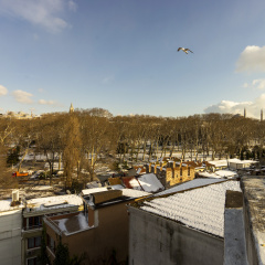 Sayeban Gold Hotel - Bild 19