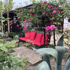 Kottedzhi V Gagre Hotel in Gagra, Abkhazia from 49$, photos, reviews - zenhotels.com photo 22