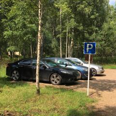 Гостиница Кантри-курорт "Каменецкие Купели" в Ржеве отзывы, цены и фото номеров - забронировать гостиницу Кантри-курорт "Каменецкие Купели" онлайн Ржев фото 15
