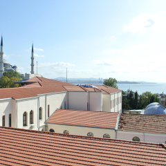 Saba Hotel - Bild 17