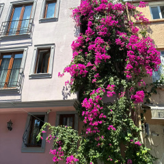 Agora Guesthouse - Bild 18