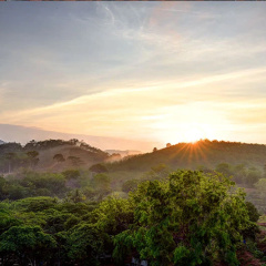 The Orchard Wellness & Health Resort Hotel thumbnail 3