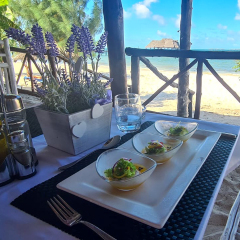 Five Palms Hotel in Uroa, Tanzania from 164$, photos, reviews - zenhotels.com photo 22