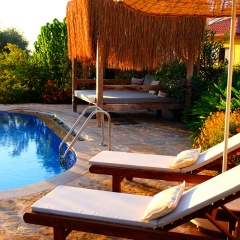 Mandarin & Mango Boutique Hotel - Bild 4