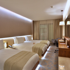 Dosso Dossi Hotels Downtown thumbnail 40