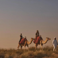 Four Seasons Dubai at Jumeirah Beach Resort thumbnail 5