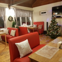 Гостевой Дом Alpine Valley House в Дмитрове отзывы, цены и фото номеров - забронировать гостиницу Гостевой Дом Alpine Valley House онлайн Дмитров фото 35