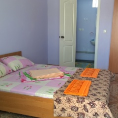 Гостиница Izumrud Mini-Hotel в Николаевке отзывы, цены и фото номеров - забронировать гостиницу Izumrud Mini-Hotel онлайн Николаевка