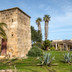 Finca Predio Son Serra Hotel - Bild 19