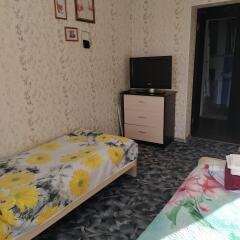 Апартаменты на Ильина в Великом Новгороде отзывы, цены и фото номеров - забронировать гостиницу на Ильина онлайн Великий Новгород фото 3