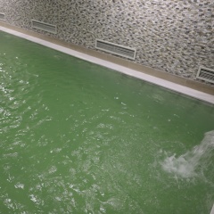 Royal Termal Hotel - Bild 8