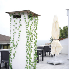 Hotel Ravi - Bild 27