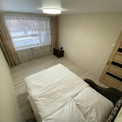 Гостиница Двухкомнатные апартаменты WELCOME HOME Aparts & Tours 12-33 в Петропавловск-Камчатском отзывы, цены и фото номеров - забронировать гостиницу Двухкомнатные апартаменты WELCOME HOME Aparts & Tours 12-33 онлайн Петропавловск-Камчатский фото 3