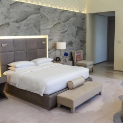 Hyatt Regency Dubai Creek Heights Residences thumbnail 8